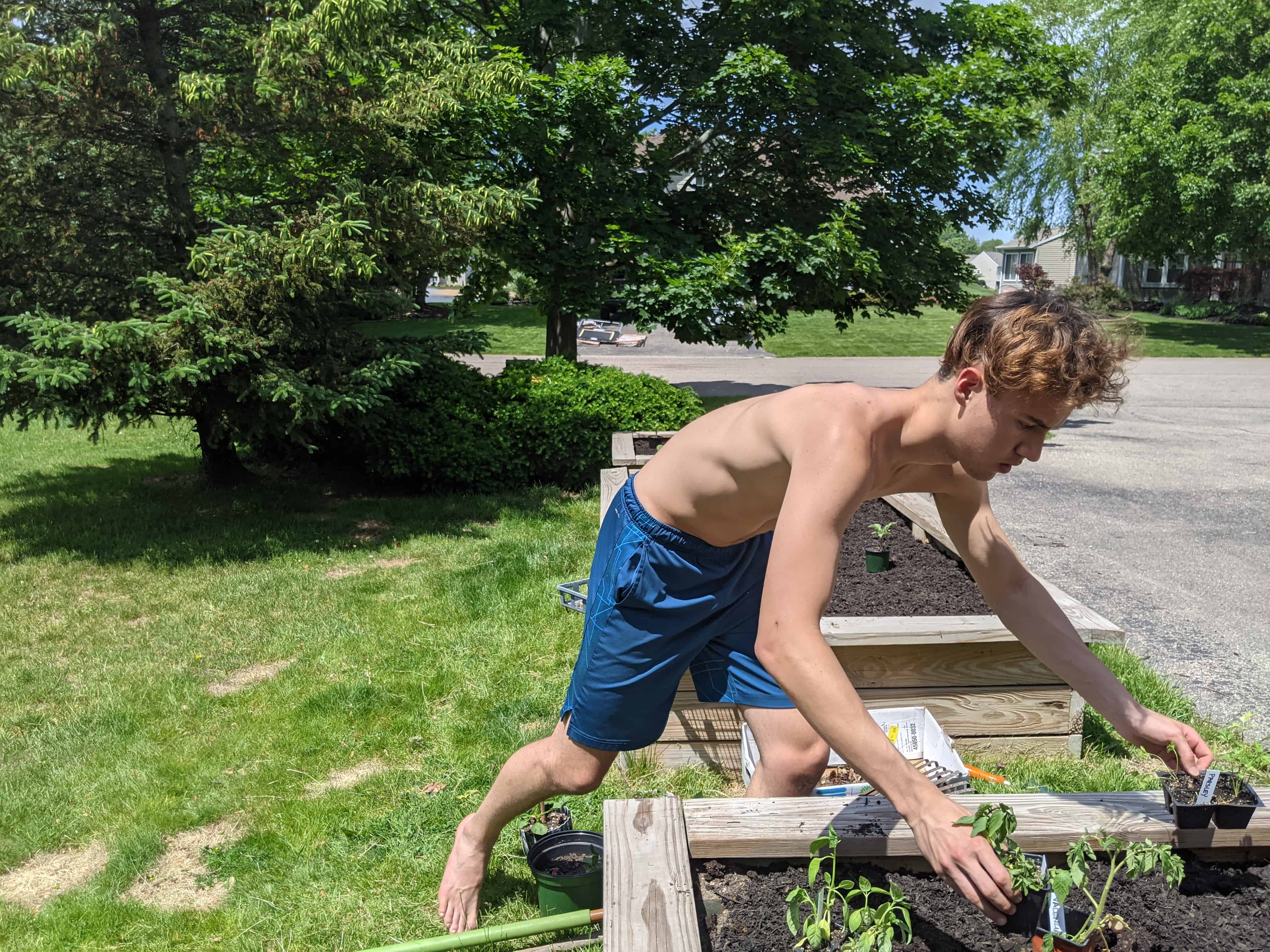 teen gardening in a raised bed