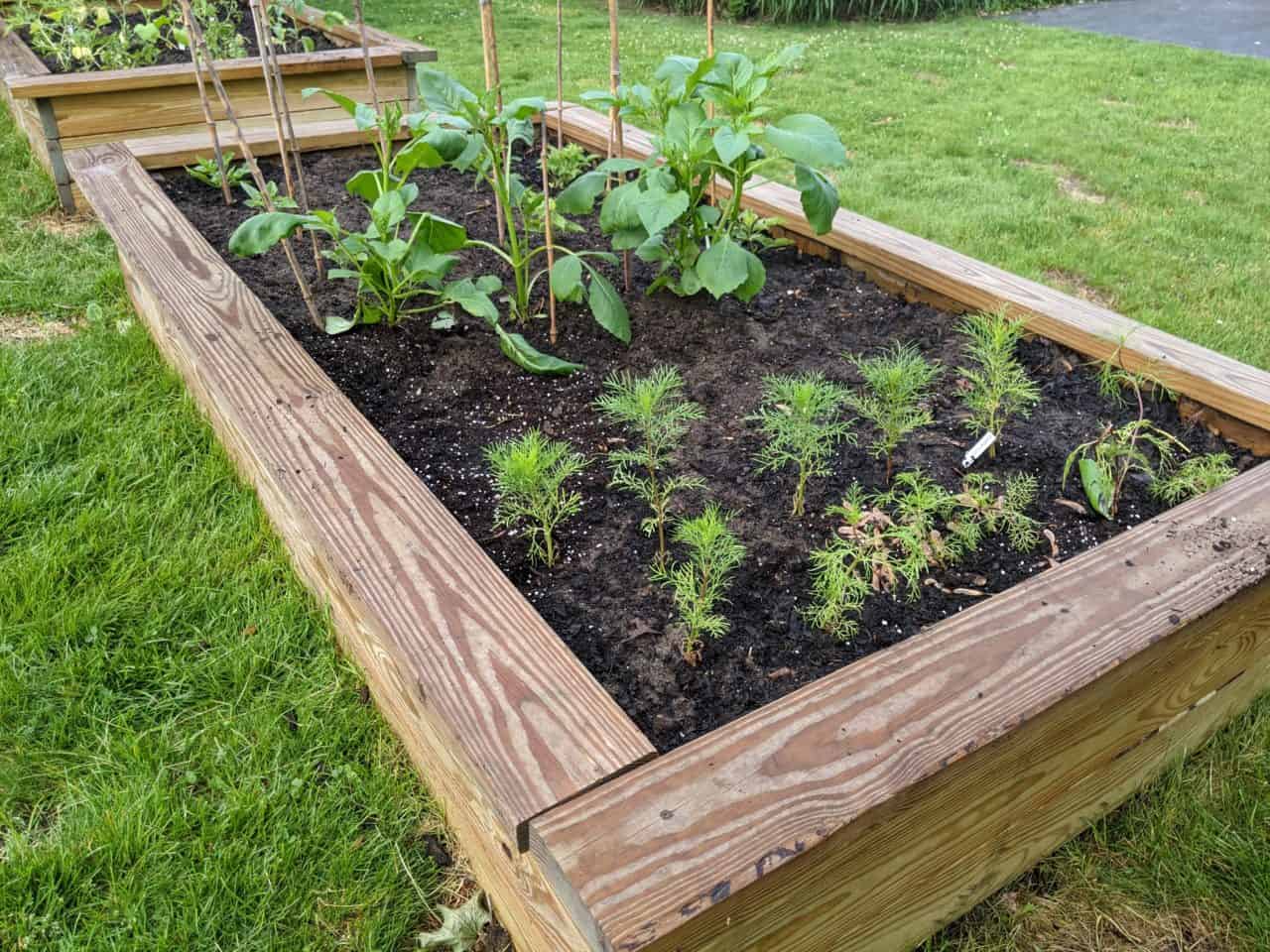 Planting a Garden Bed Late In the Season - Pure Happy Home