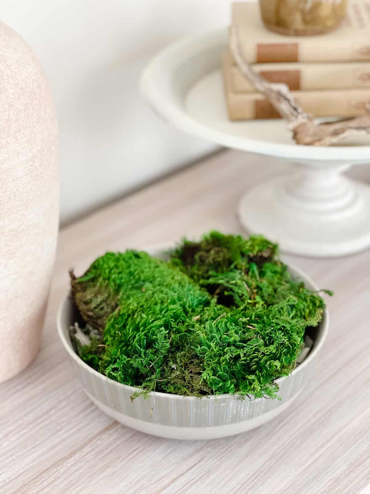 bowl of dried moss styled on a buffet with neutral home decor