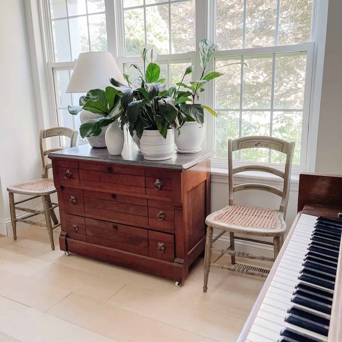 Plywood flooring in music room with large window