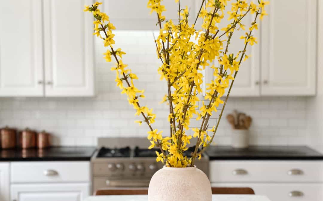 Decorating for Spring with Forsythia