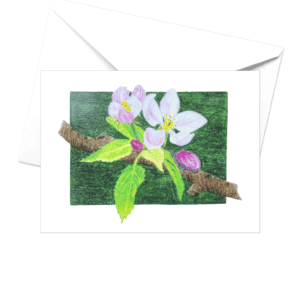 Apple blossoms card