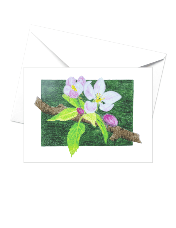 Apple blossoms card