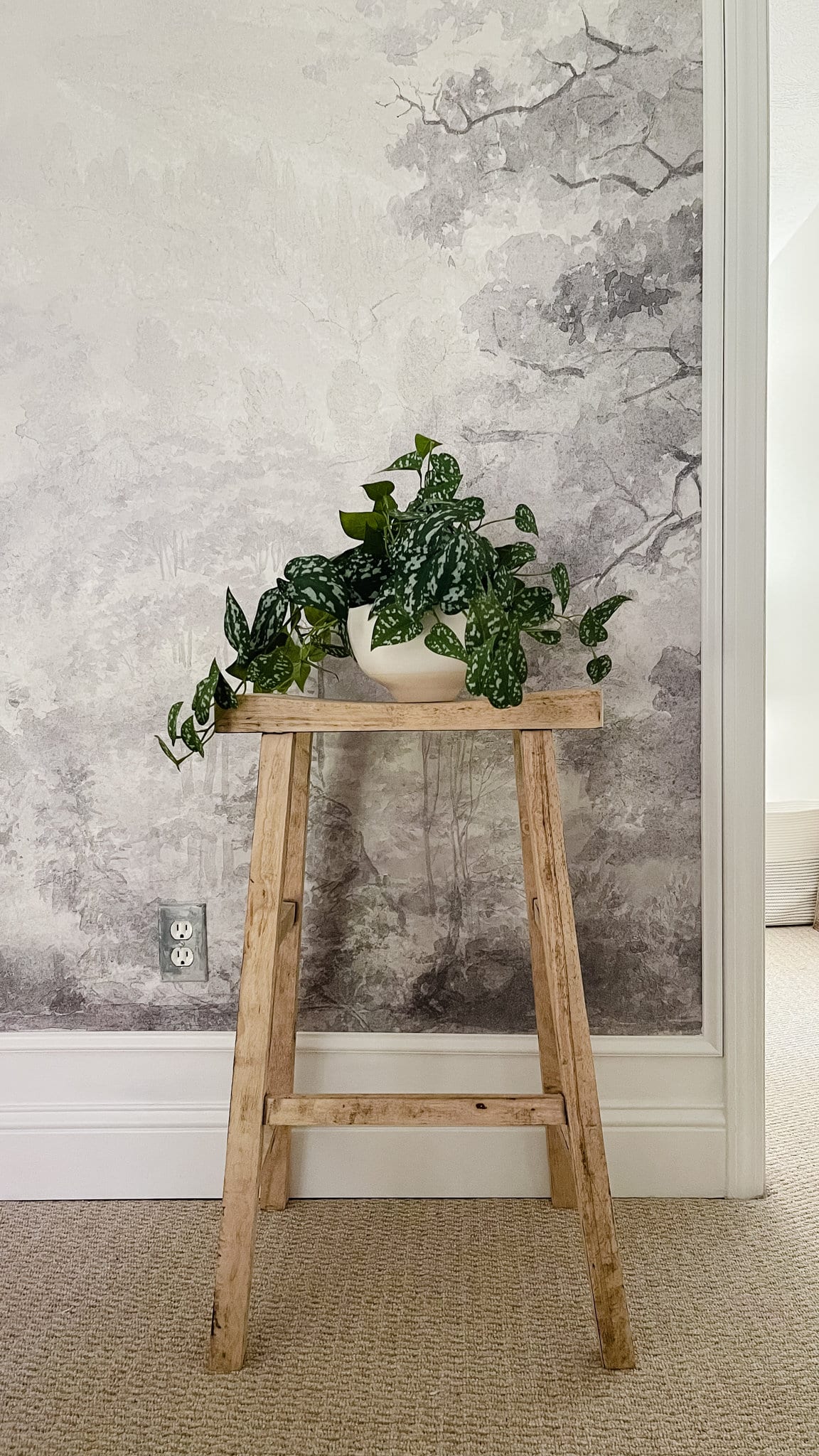 plant stand and vintage wallpaper