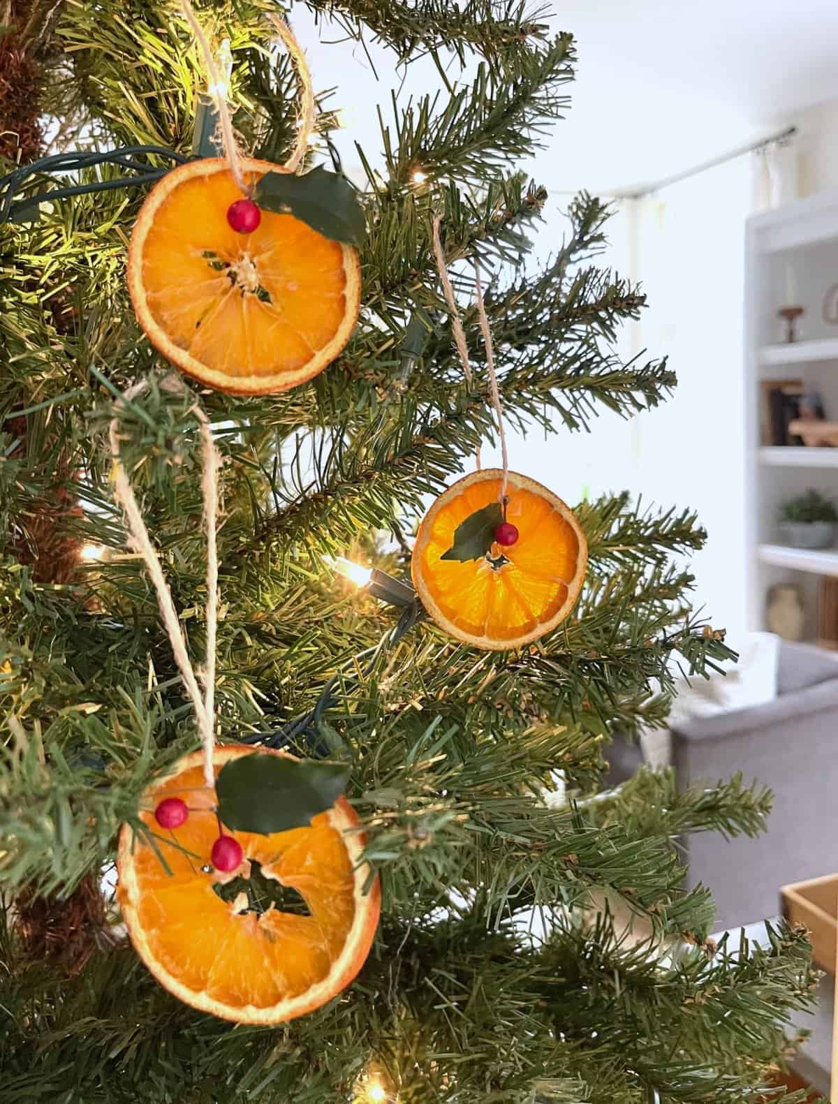How to Dry Orange Slices for Your Fall and Winter Holiday DIY Projects -  Shiplap and Shells
