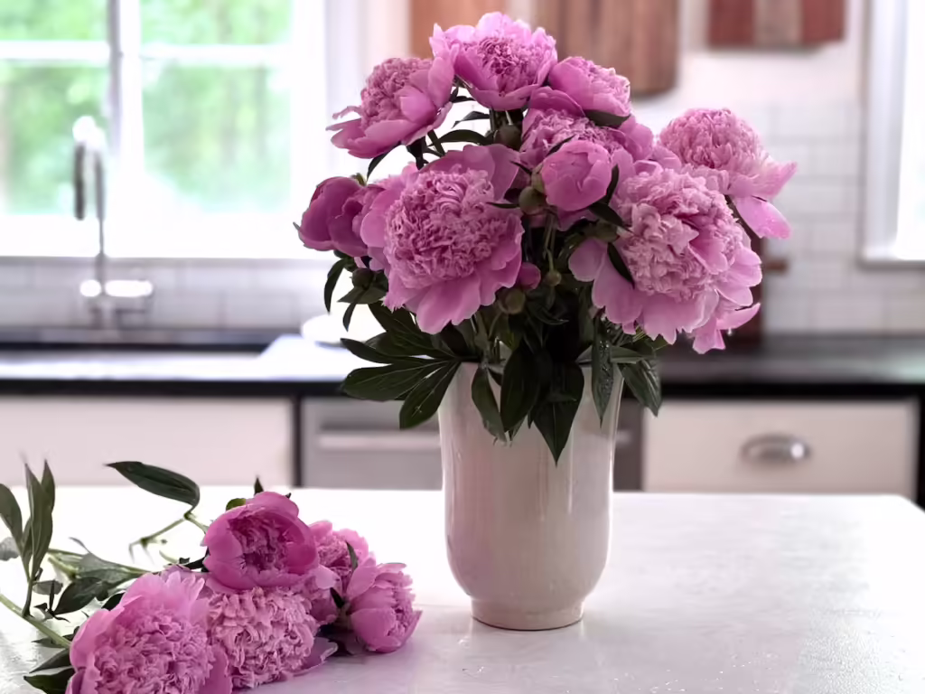 make peonies last weeks