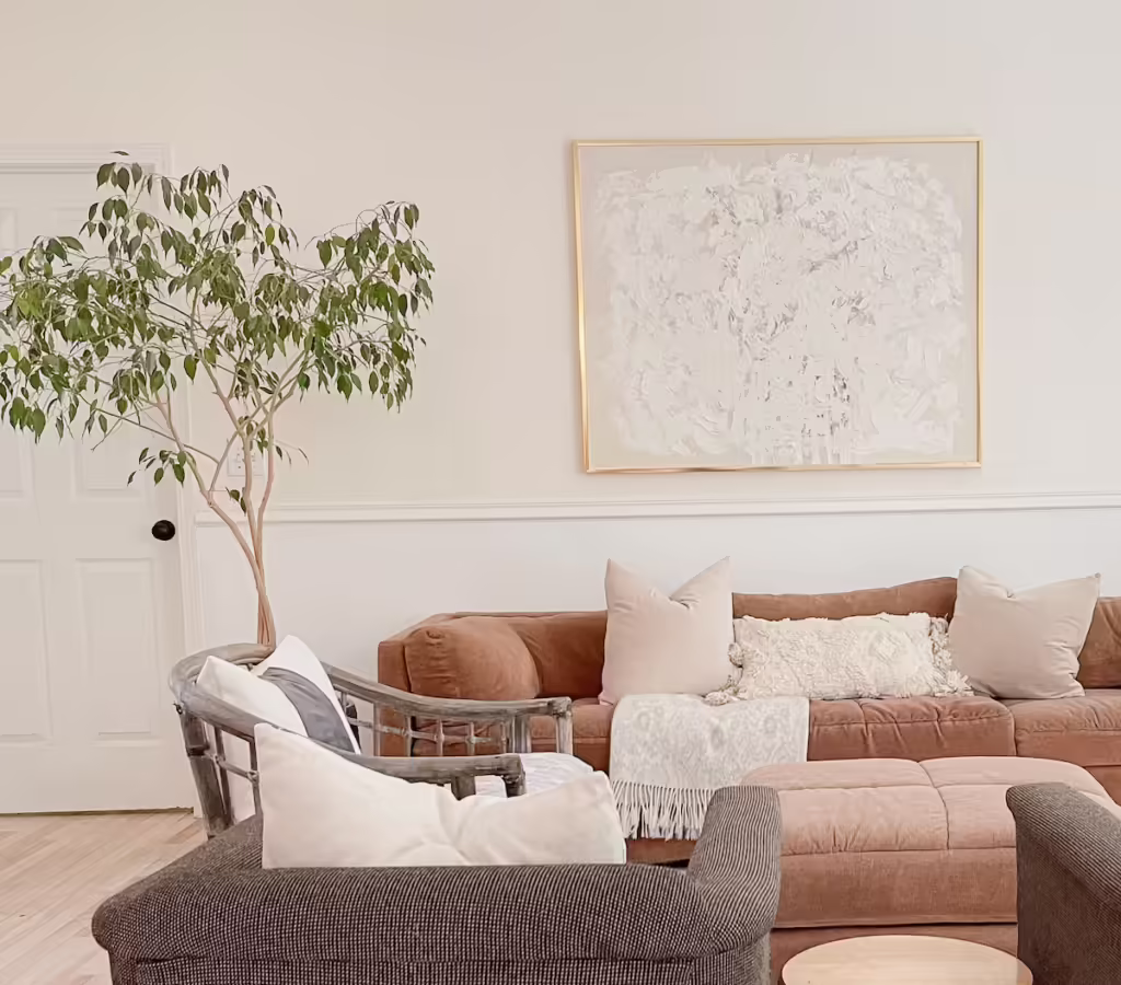 Ficus Tree Care seasonal